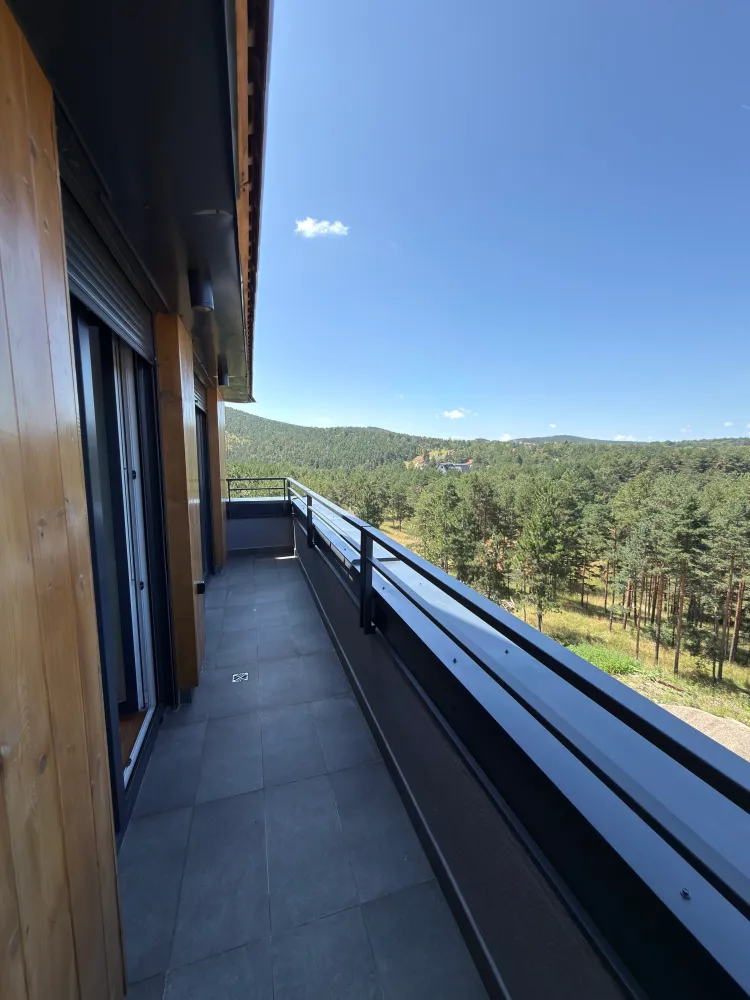 Divčigora DSR26, fotografija 4