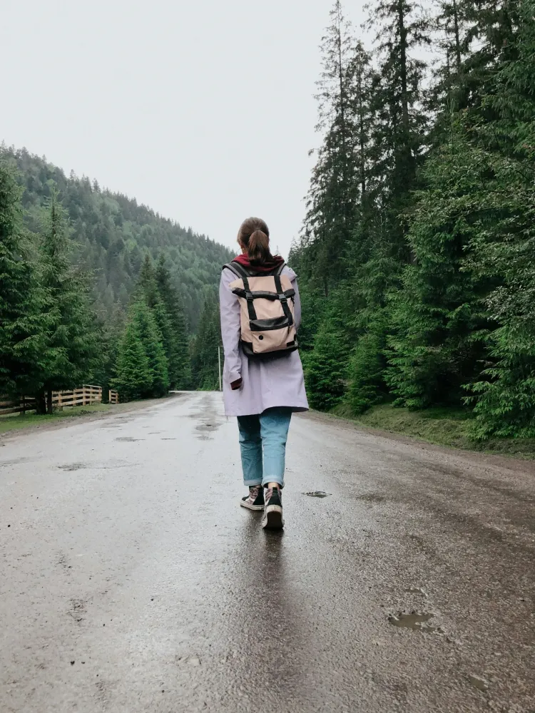 🌲 Šetnje, planinarenje i vidikovci, vođene pešačke ture